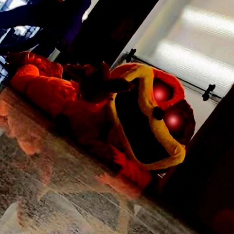 Dragona – Korean tour