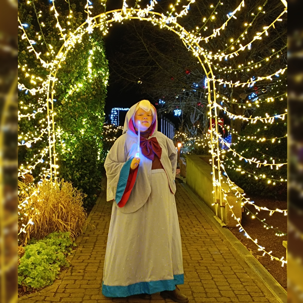 Bonne fée de Noël — photo 15