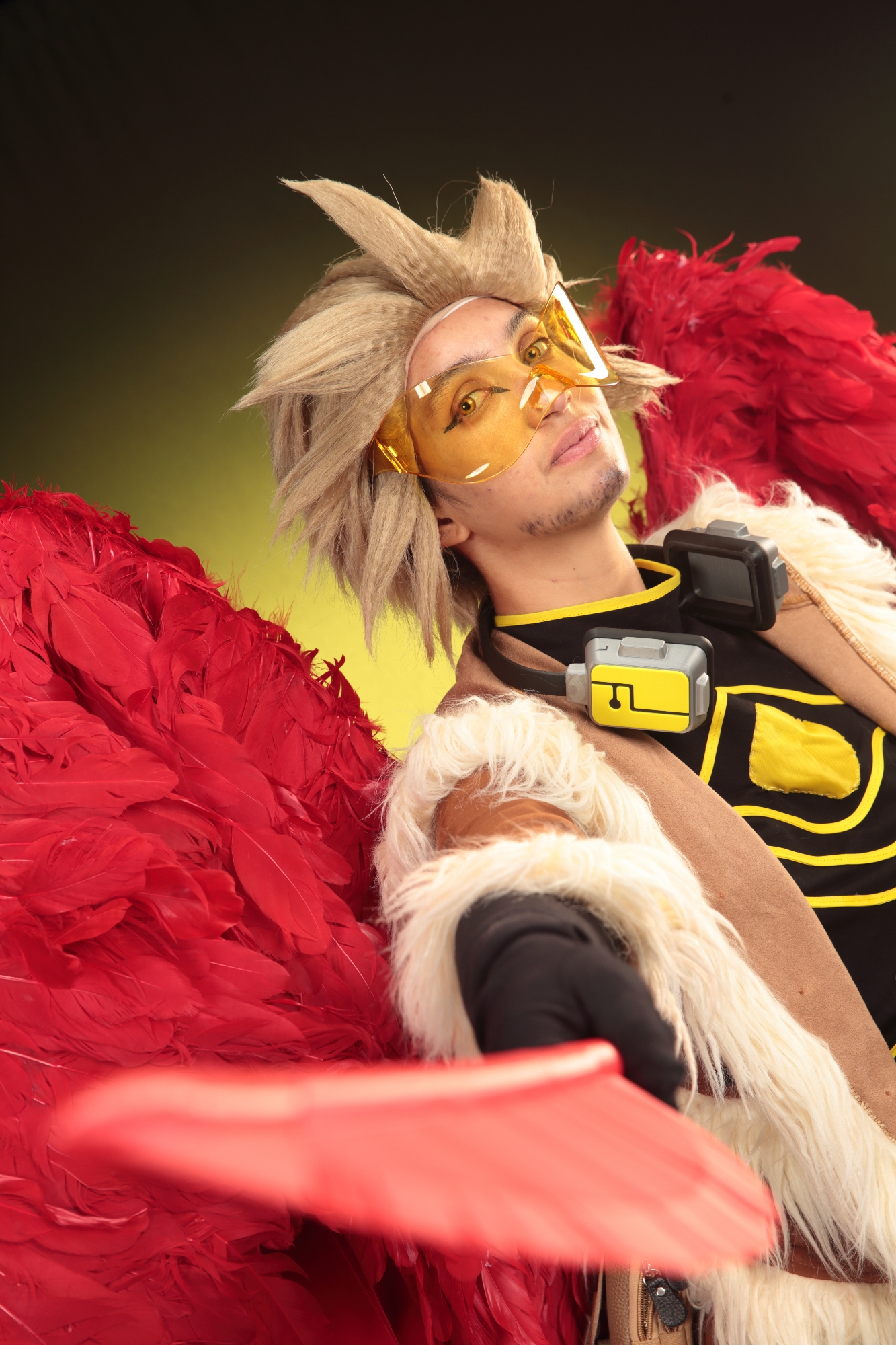 Hawks — photo 123