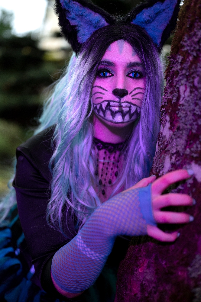 Chat du Cheshire — photo 7