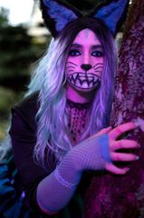 Chat du Cheshire preview 2