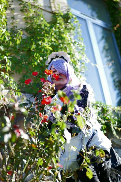 Kycilia - Camilla Maid Cosplay 