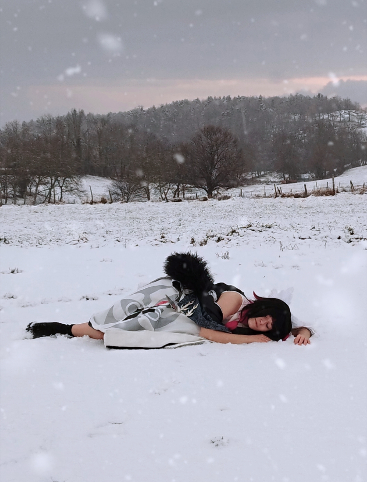 Columbina  - Photo 2