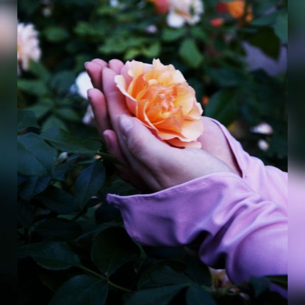 Na~moon - Flora