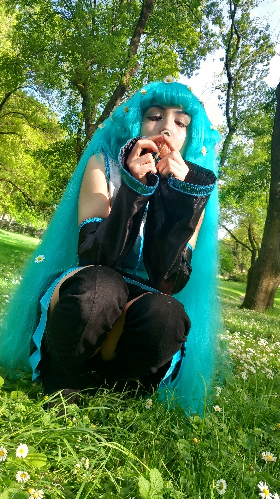 Hatsune Miku — photo 6