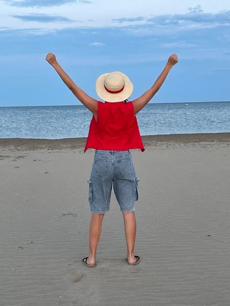 Anel_.cos - Luffy 