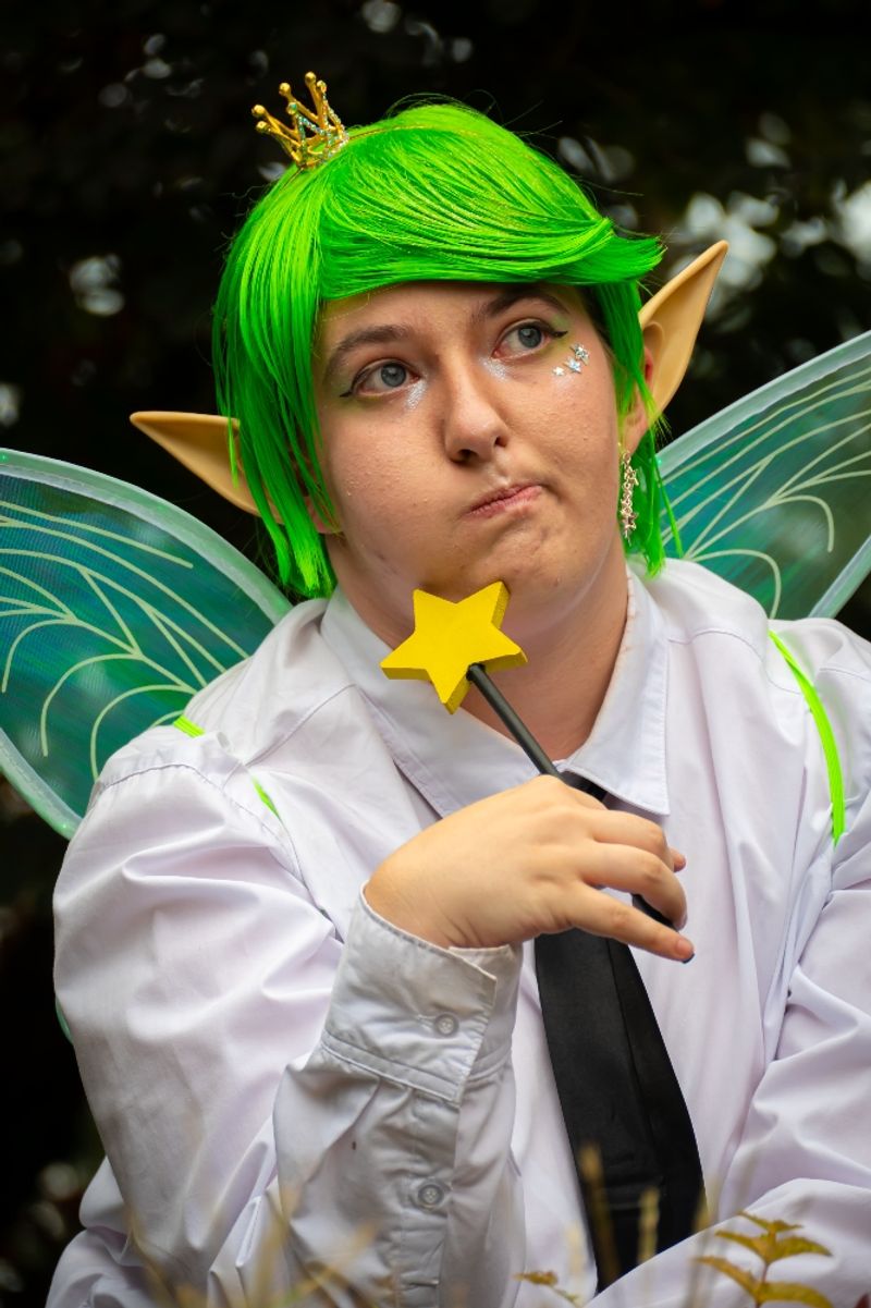 The Fairly OddParents