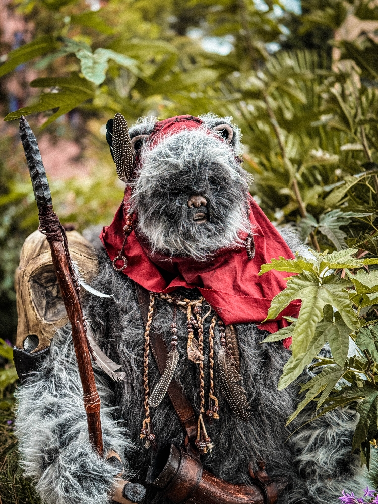 Un Ewok À Vitrolles - Photo 7