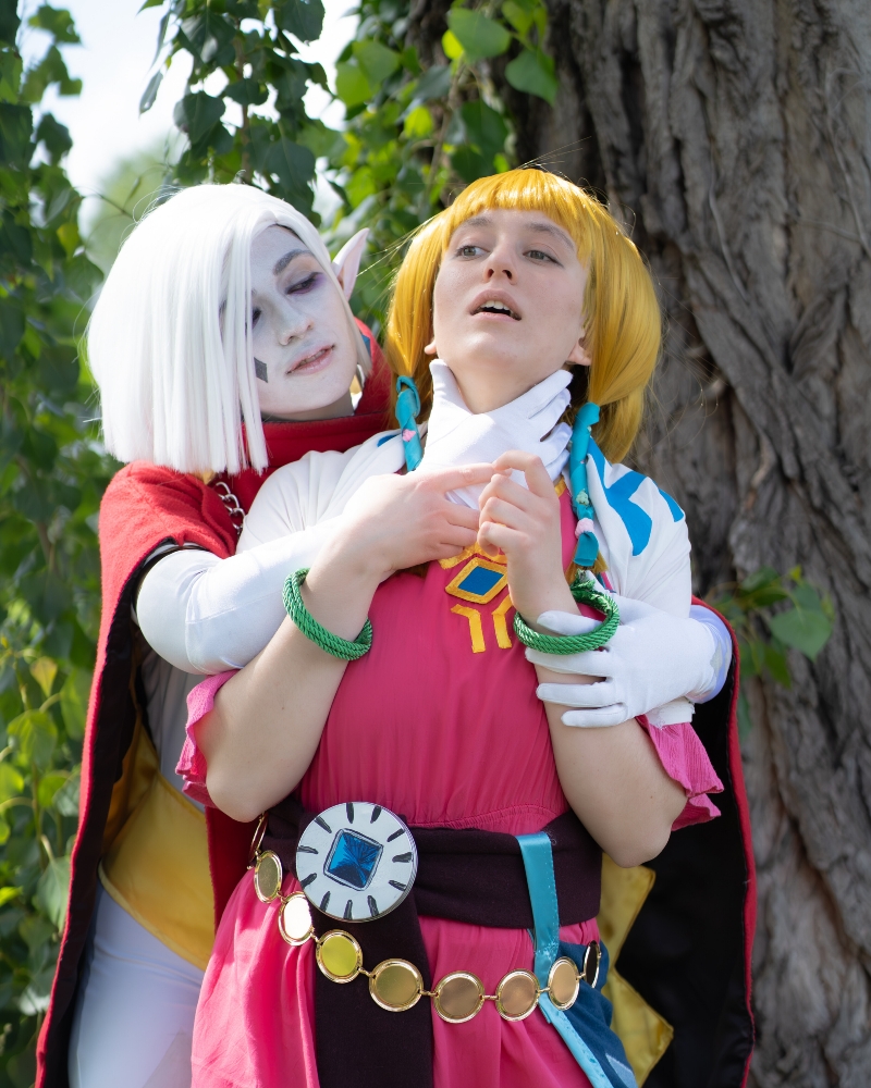 Skyward sword Zelda - Photo 4