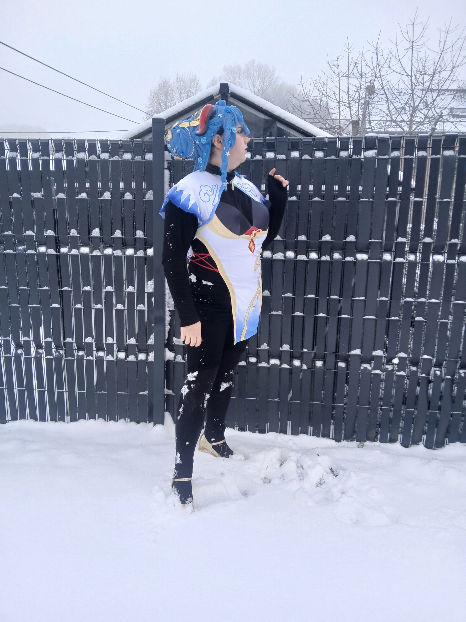 Ganyu in snow - Photo 11