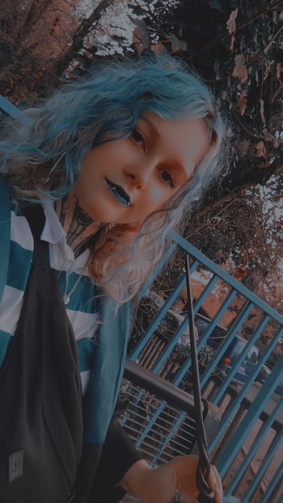 La forêt interdite - Photo 11