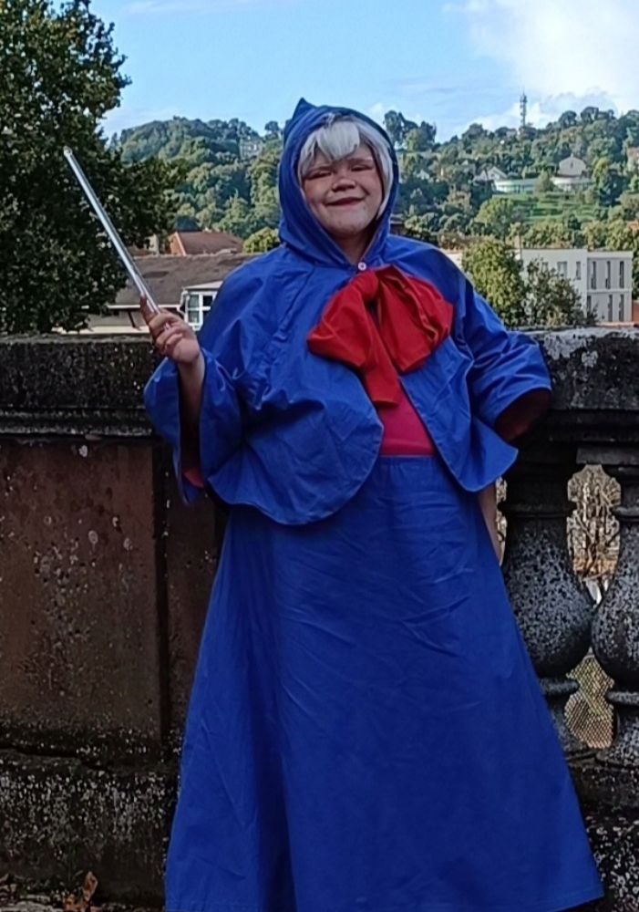 Marraine Cendrillon  - Photo 1