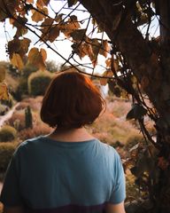 Frisk preview 3