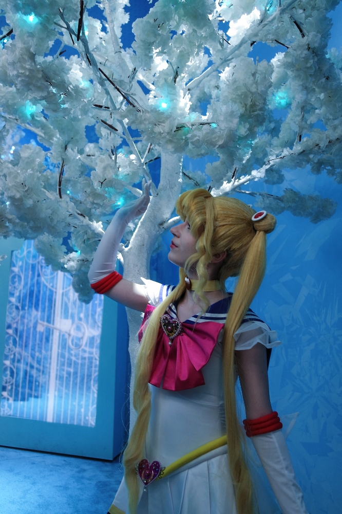Sailor Moon — photo 24