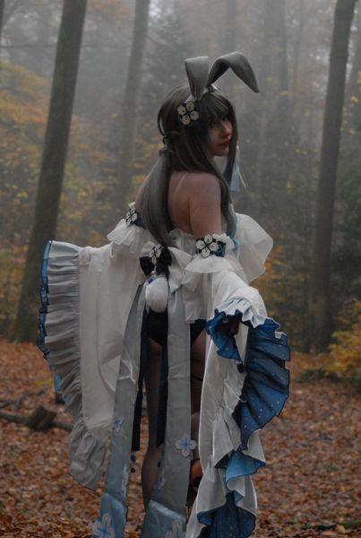 Oxyia - Guizhong Bunny