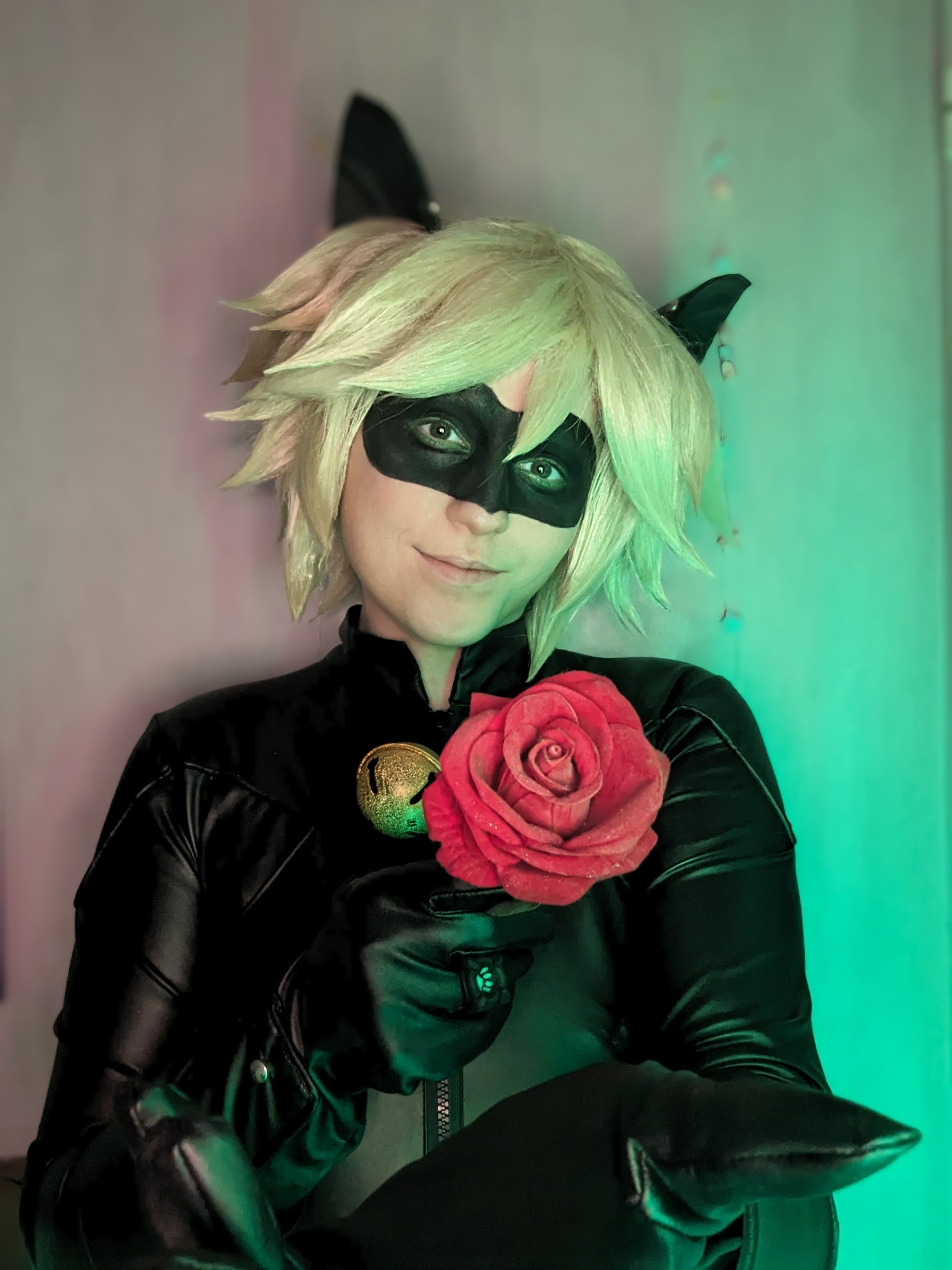 Chat noir — photo 14