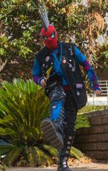 Spiderpunk preview 3