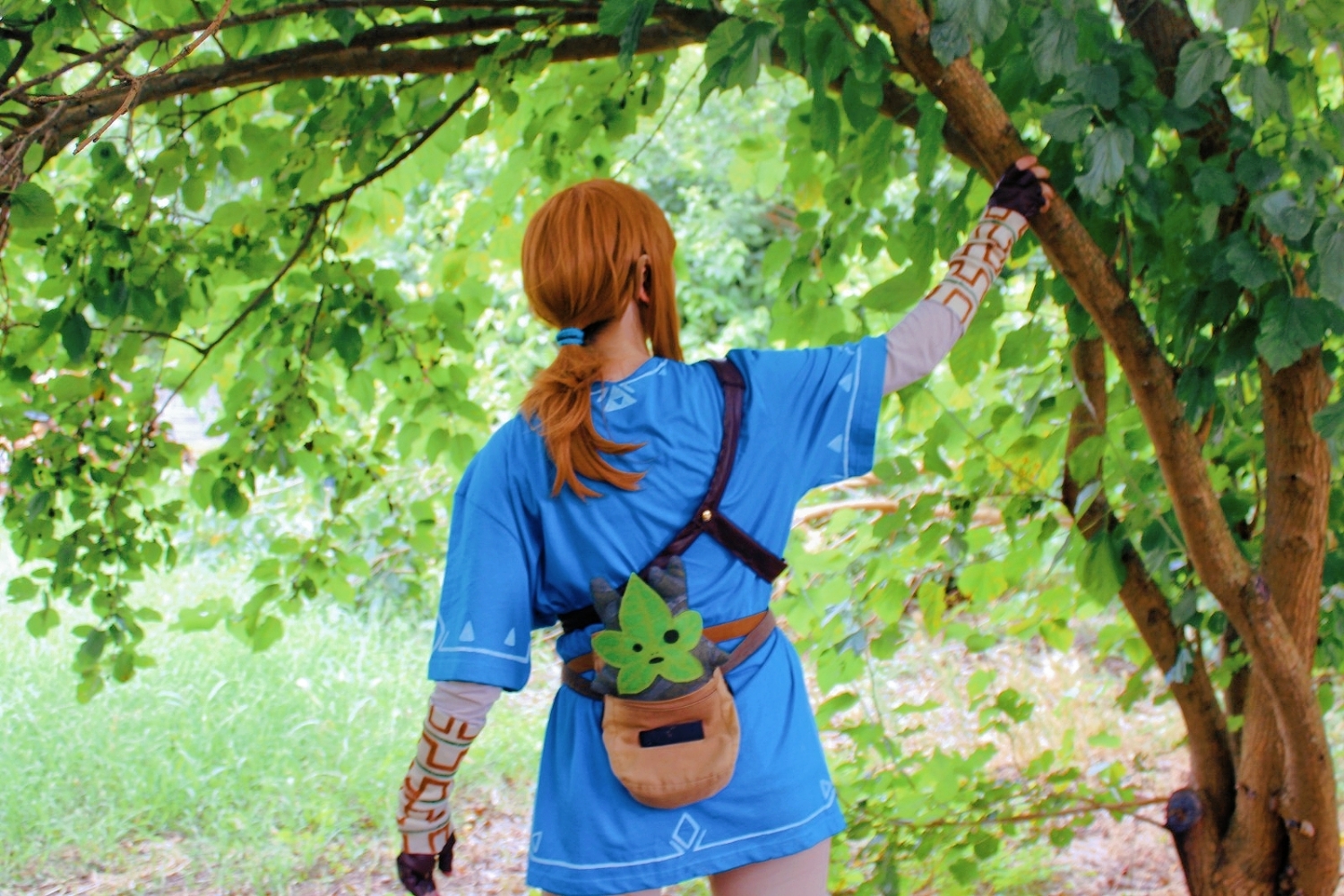 Link (Botw) - Photo 22