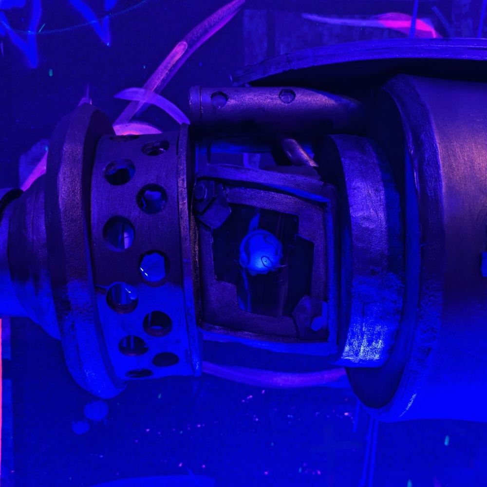 Fishbones Arcane - Photo 7