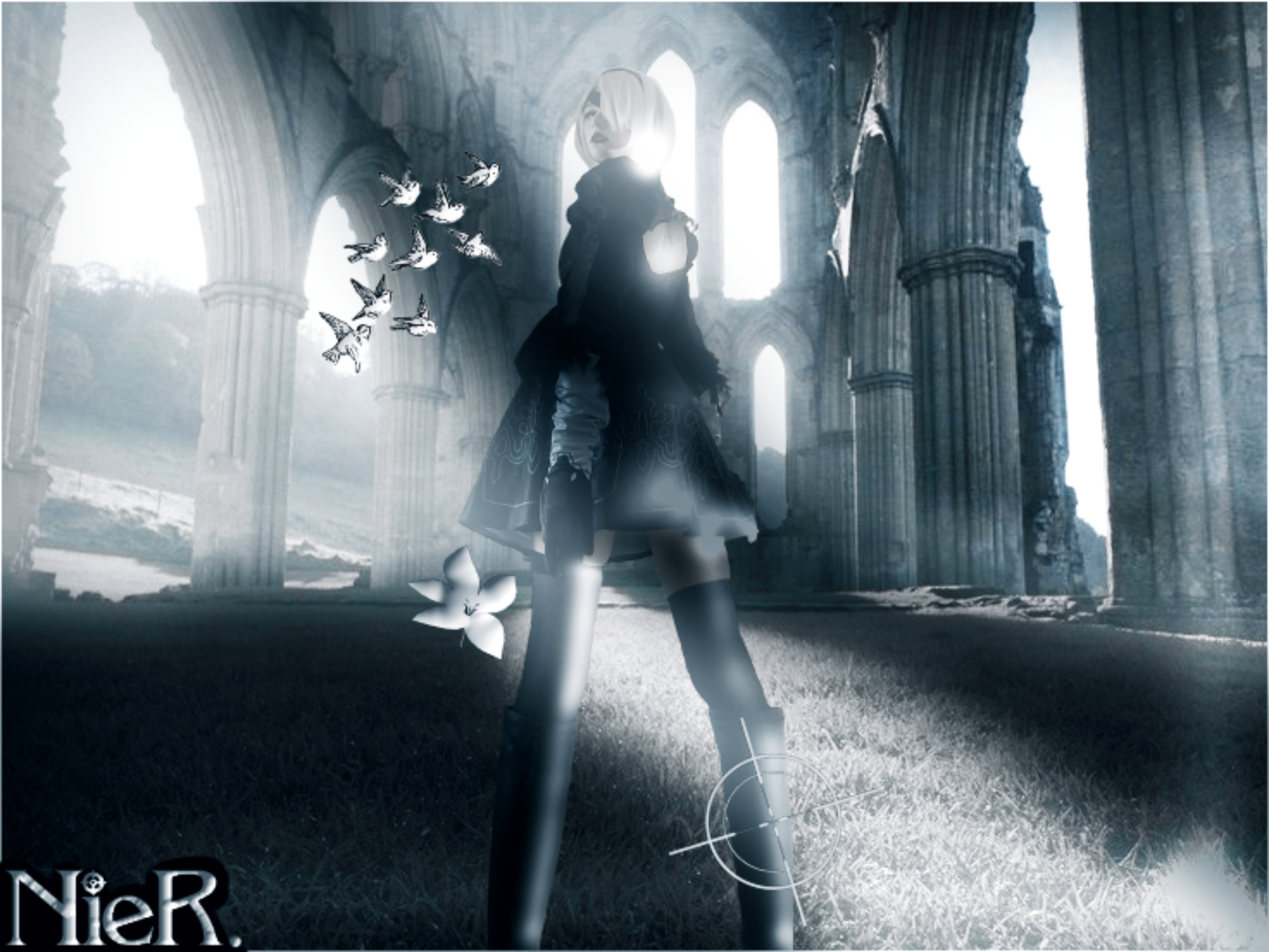 †2B†, photo 7
