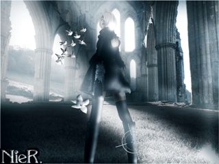 †2B† preview 2