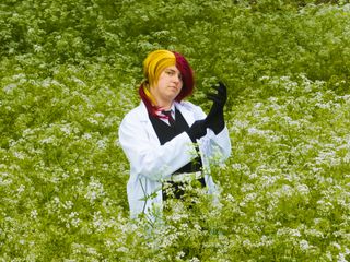Rutile preview 2