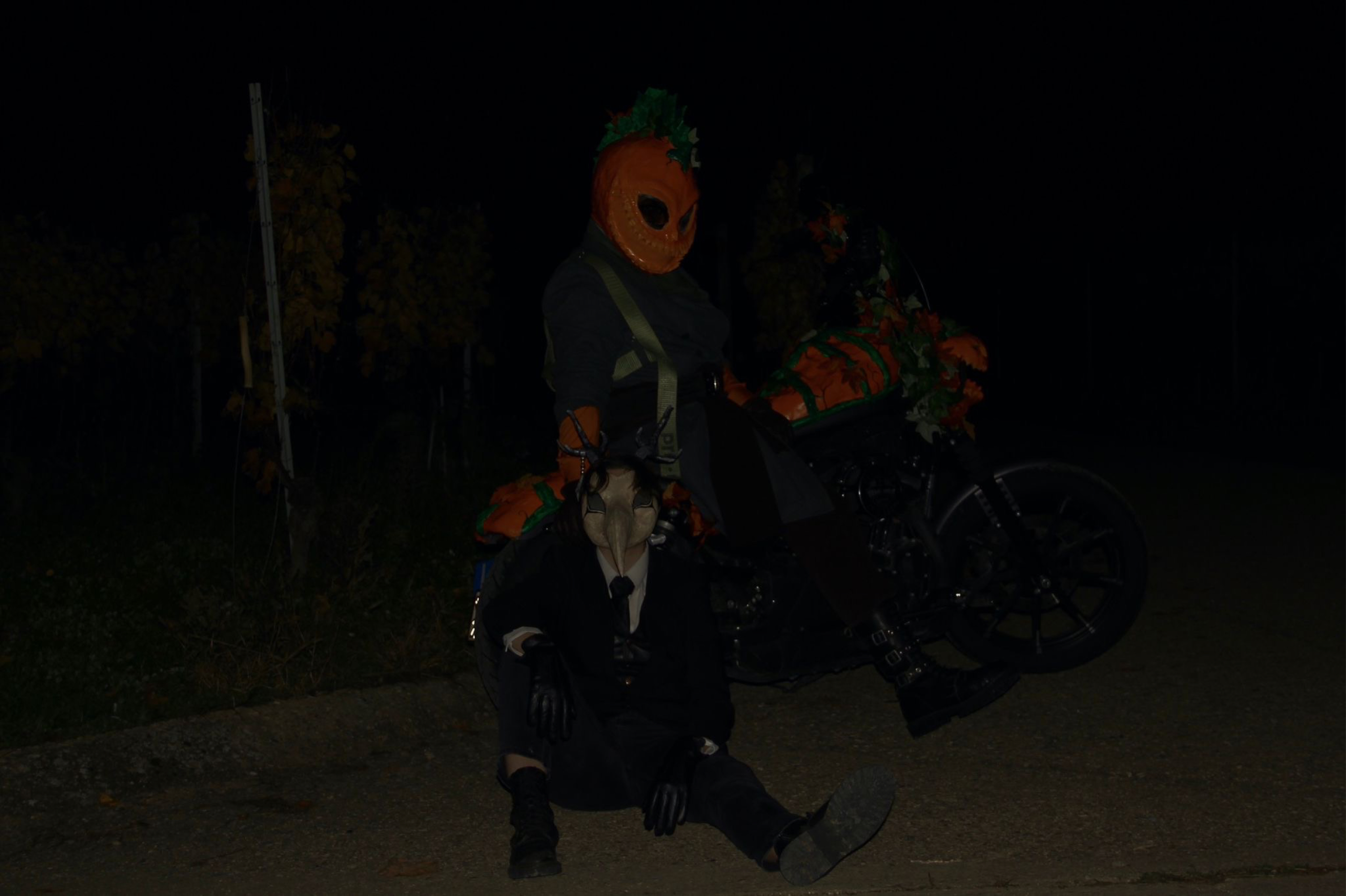 Halloween photoshoot — photo 5