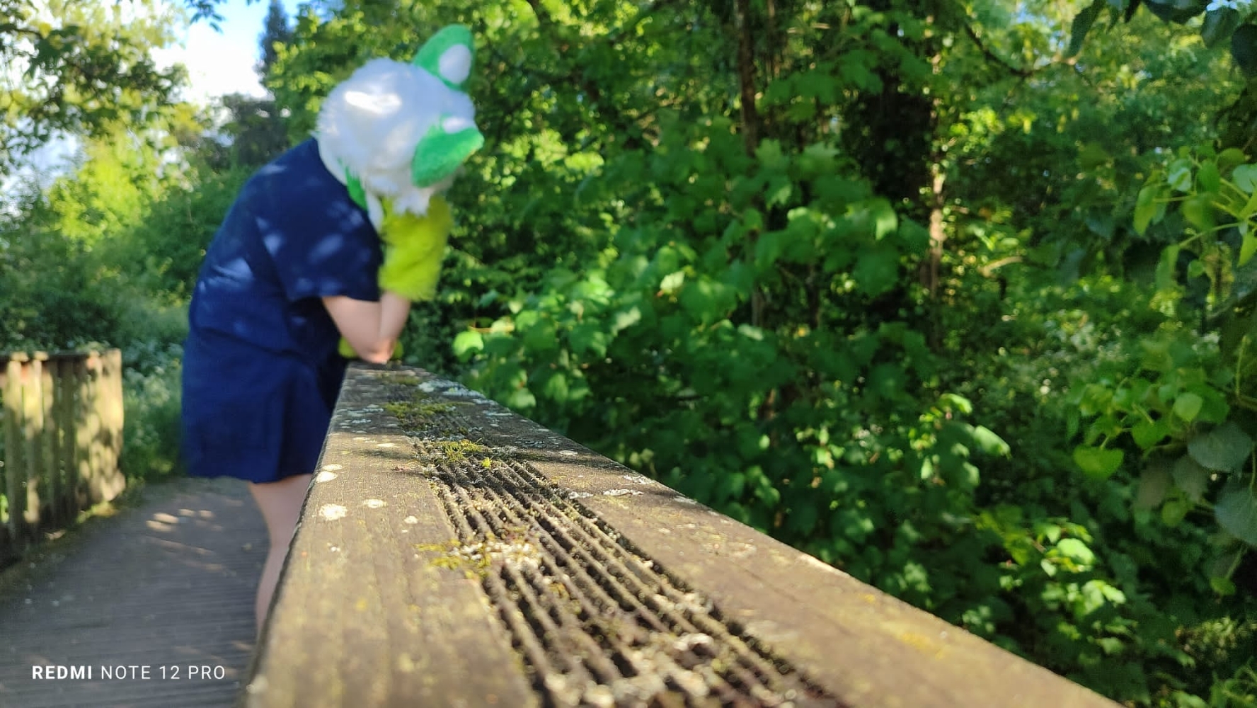 Debut du printemps  - Photo 51