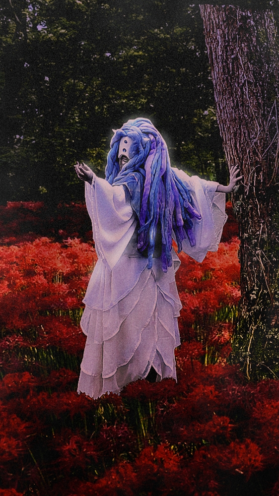 Mujika 1  - Photo 13