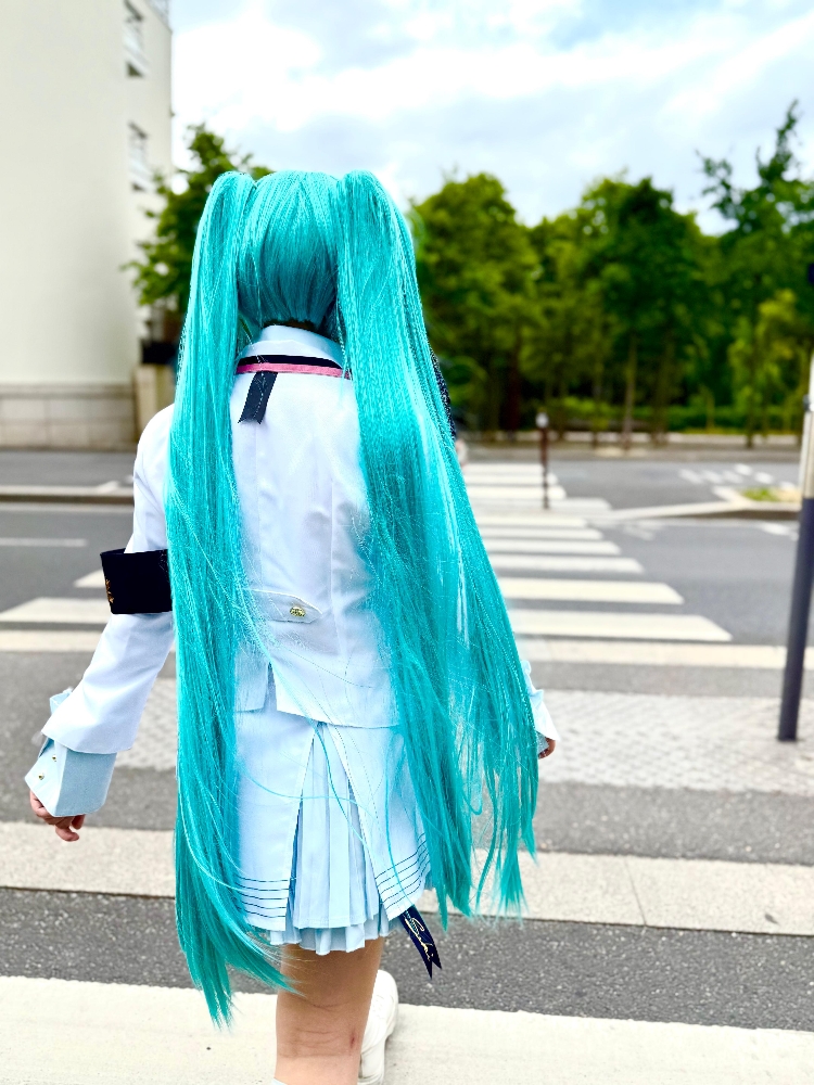 Hatsune Miku — photo 10