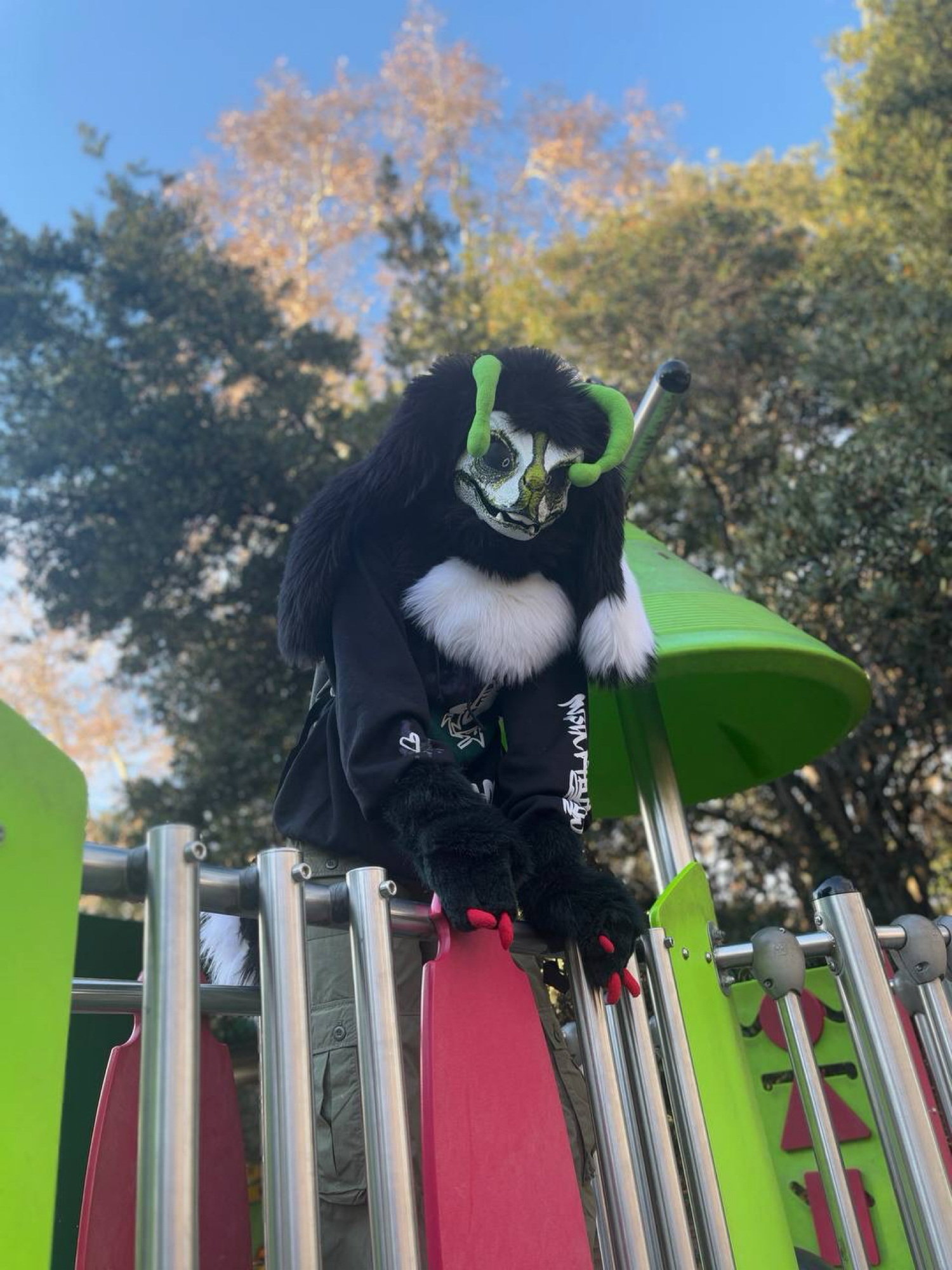 Toxi — photo 5