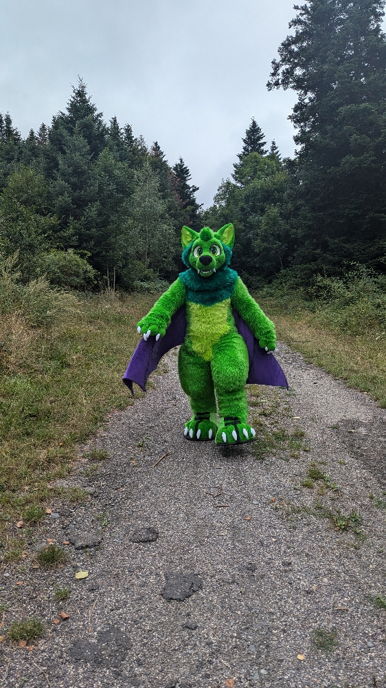 
A dark forest - Photo 12