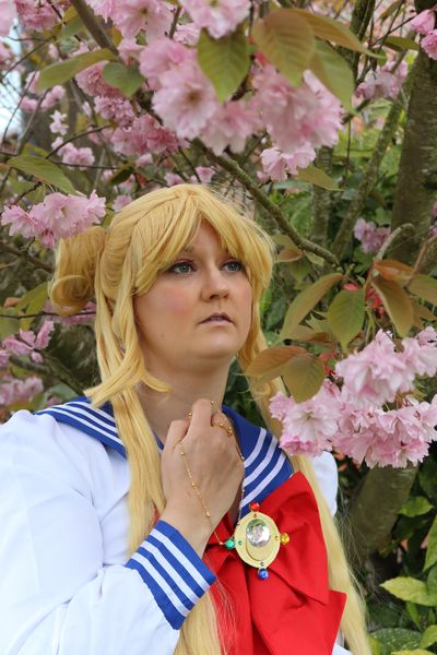 Amy-sama - Usagi Tsukino 
