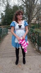 Alice preview 3