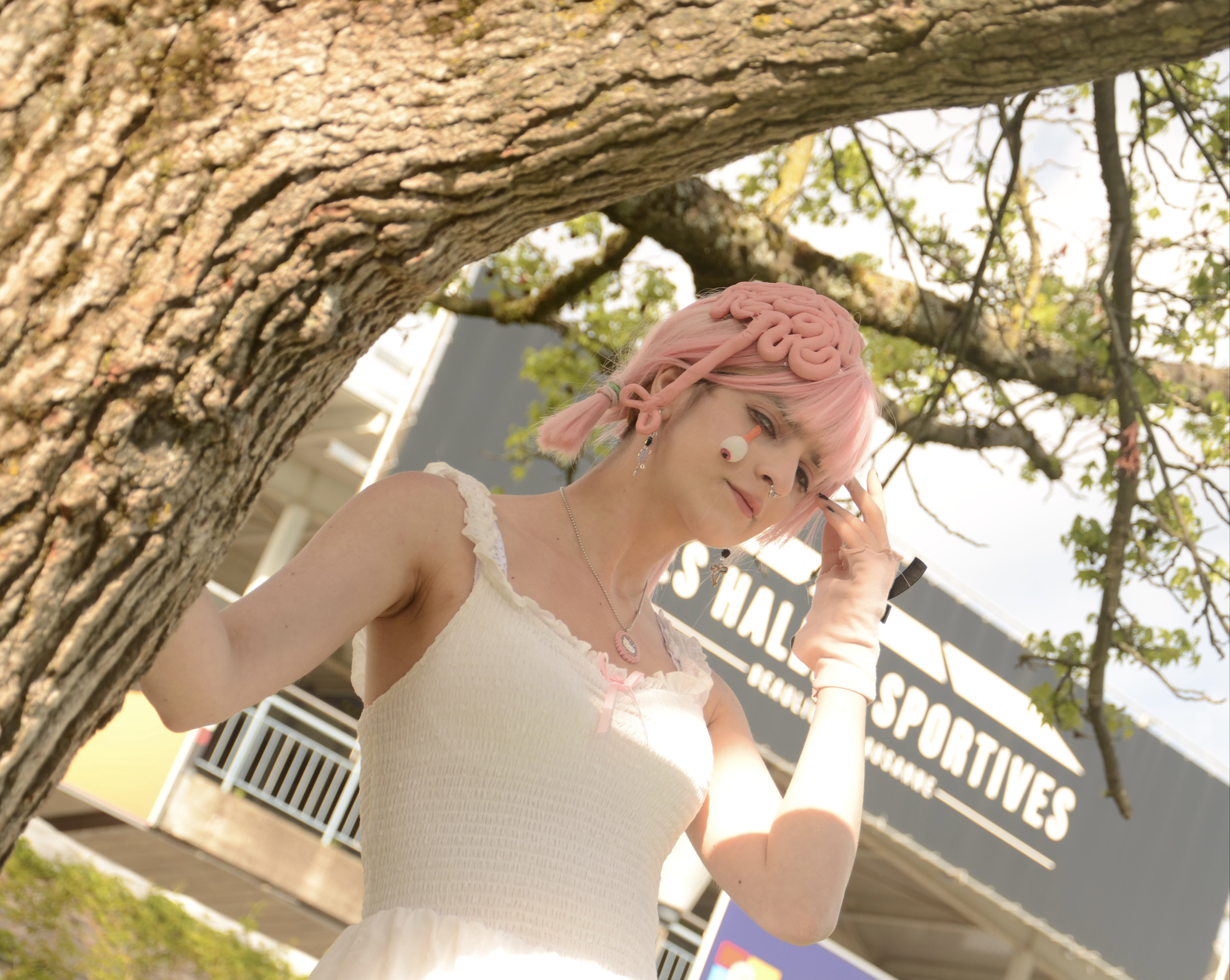 Cosmo — photo 5