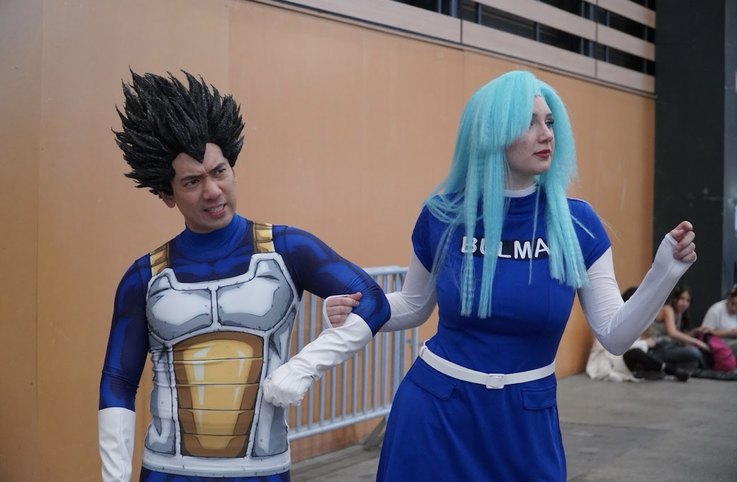 Bulma — photo 6