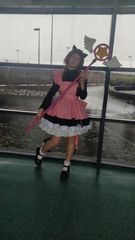 Sakura preview 2