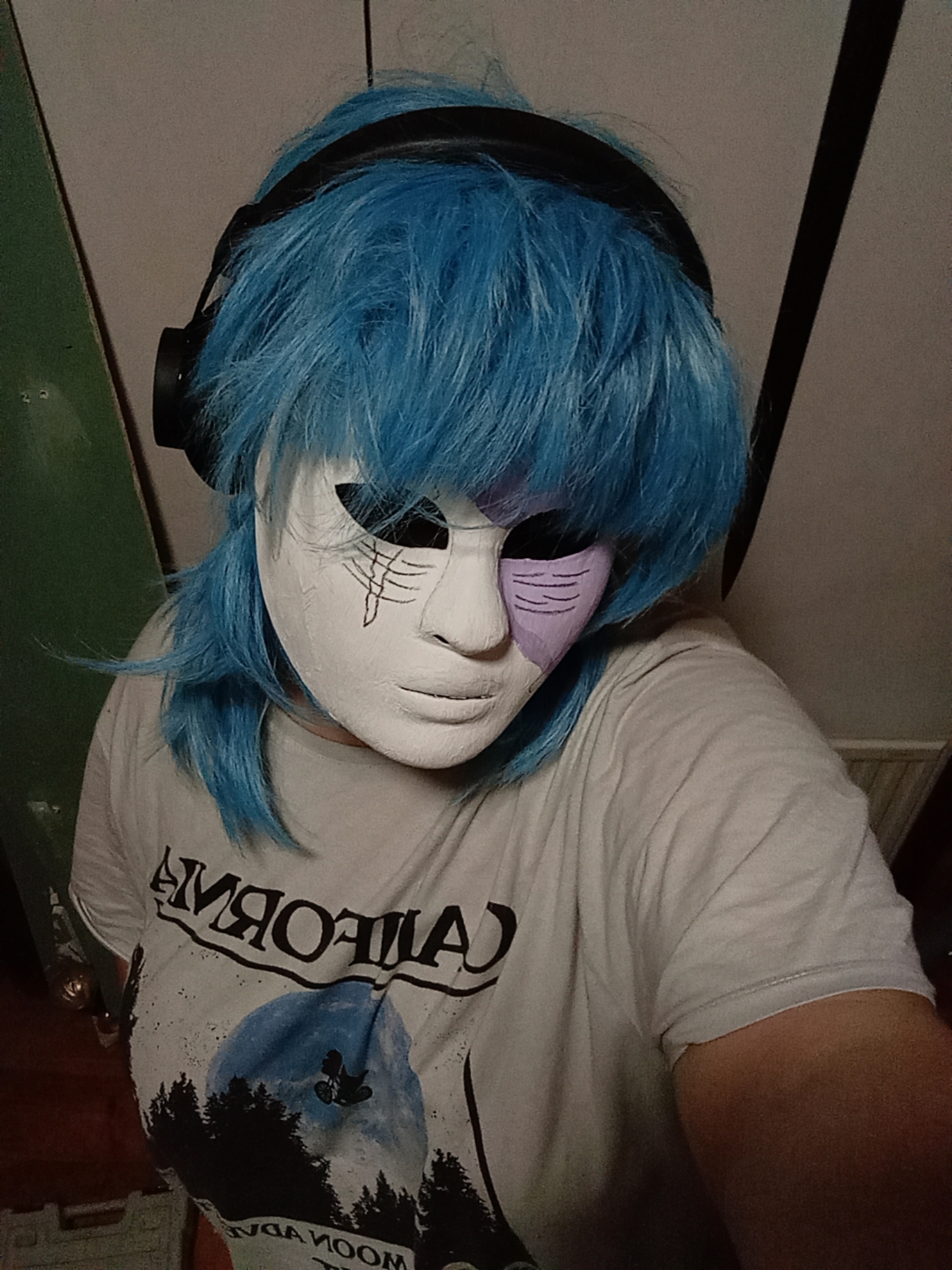 Sally face - Photo 4