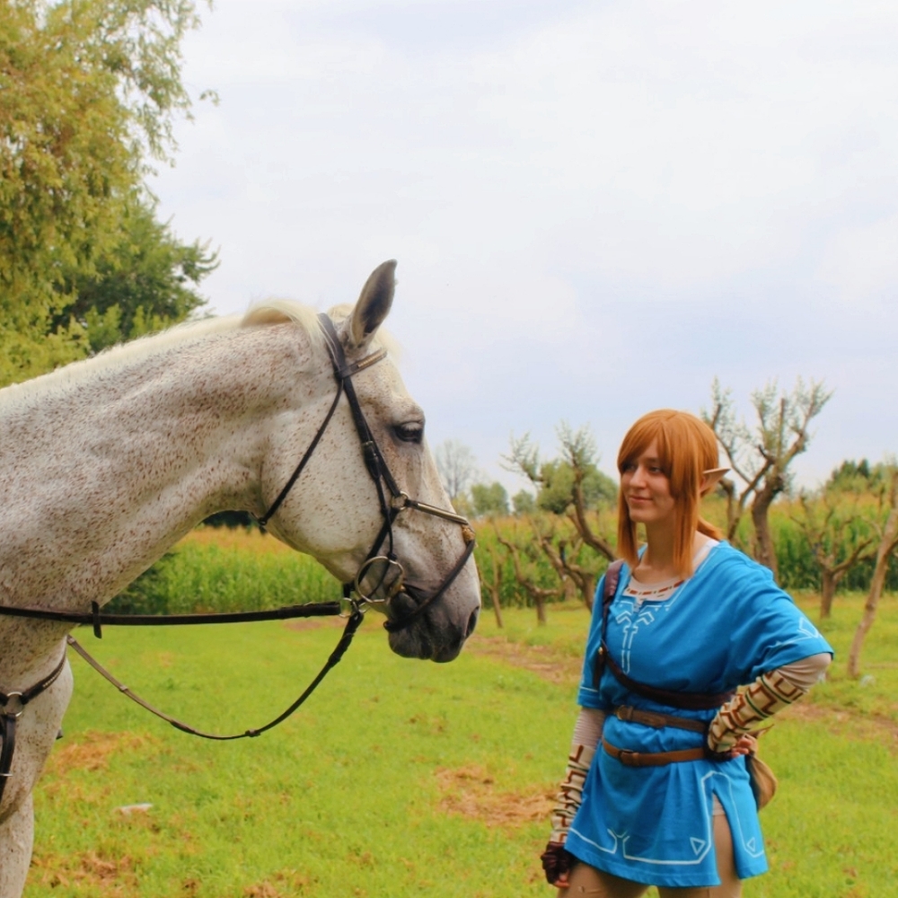 Link (Botw) - Photo 10