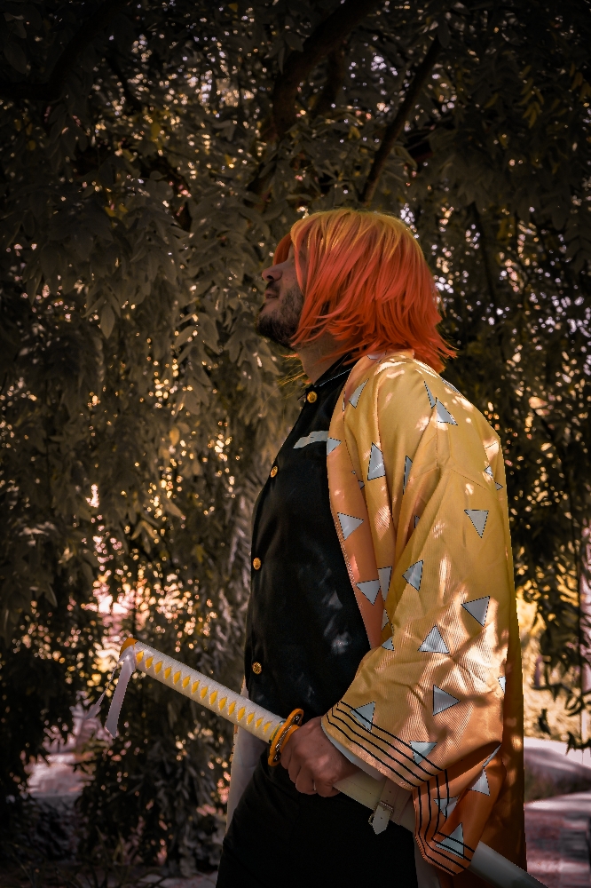 Demon slayer — photo 25