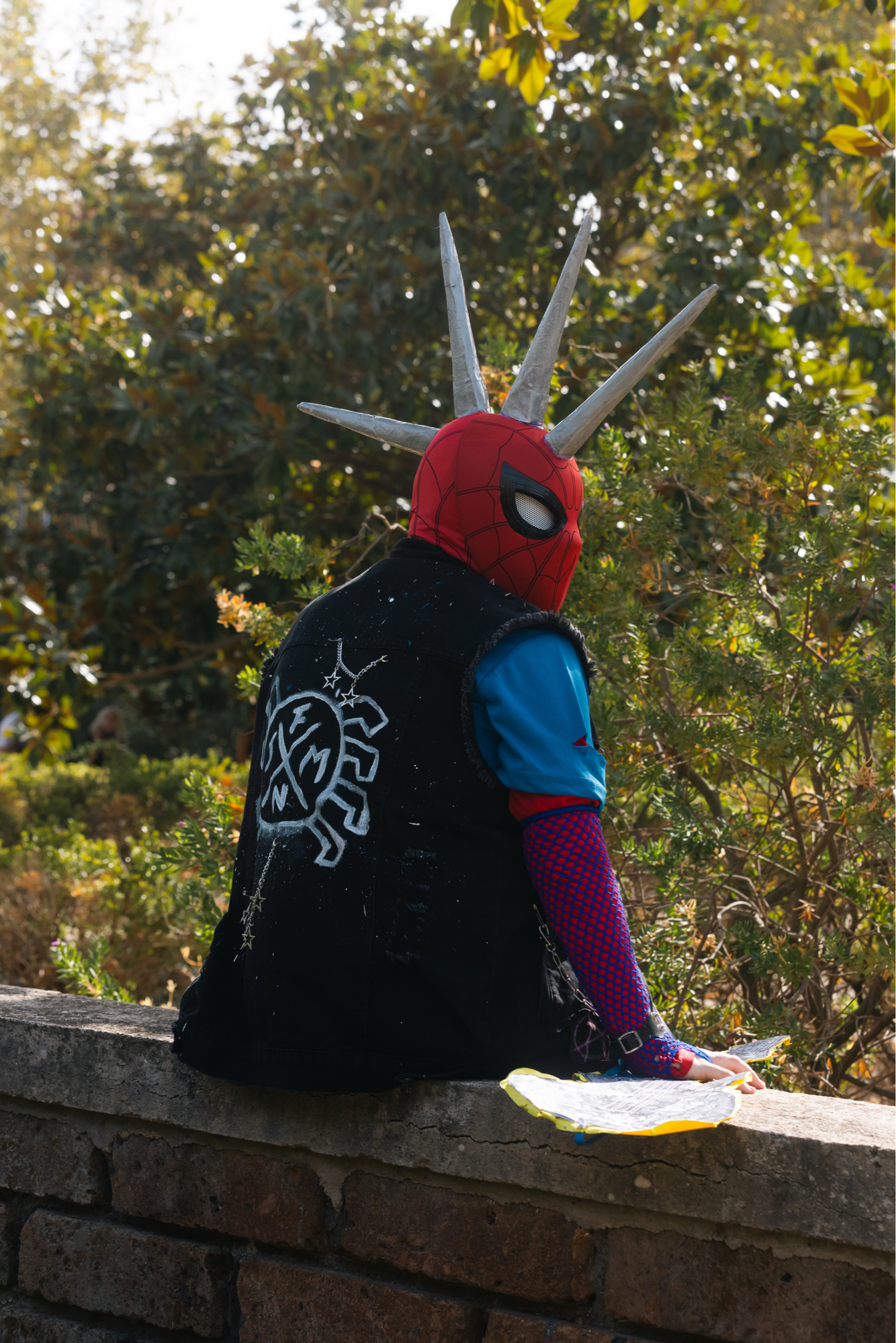 Spiderpunk - Photo 3