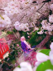 Reiju Vinsmoke preview 3