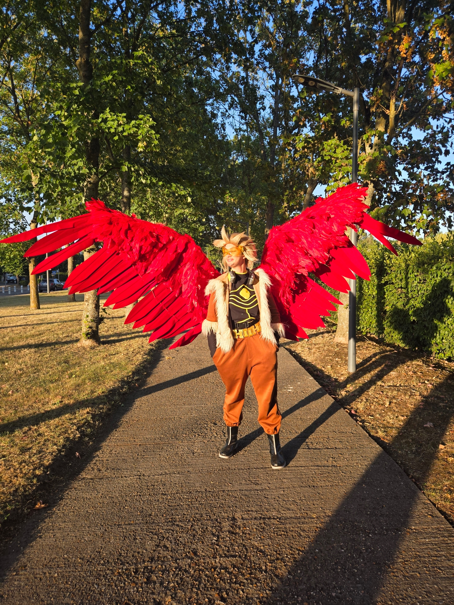 Hawks — photo 84