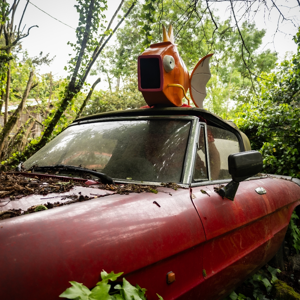 En voiture magicarpe