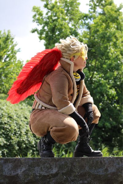 Thehedgehogmaniac, Hawks in park
