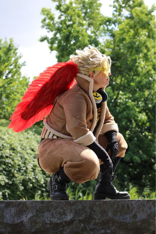 Thehedgehogmaniac – Hawks in park