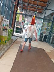 Magicarpe Zombie preview 3