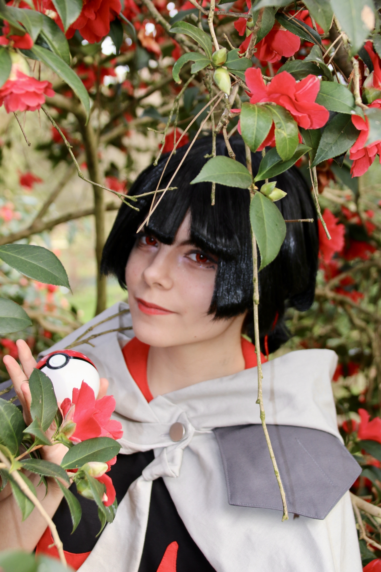 Amaryllis Set 1 — photo 7