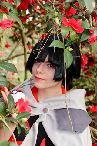 Amaryllis (Set 1)