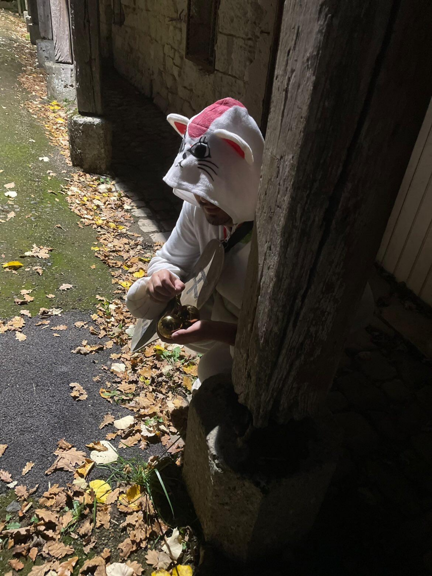 Halloween 2025 — photo 10